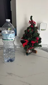 Arrampicata sull'Albero di Natale